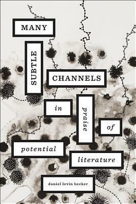 Many Subtle Channels: In Praise of Potential Literature by Daniel Levin Becker