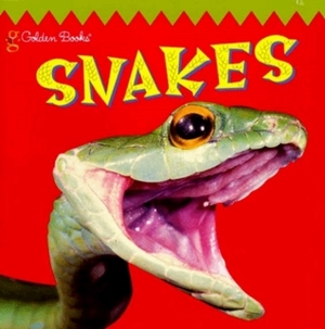 Snakes (Look-Look) by Lisa Hilton