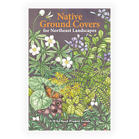 Native Ground Covers for Northeast Landscapes by Anna Fialkoff, Heather McCargo