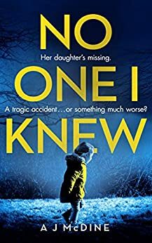 No One I Knew by A.J. McDine