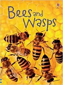 Bees and Wasps by James MacLaine