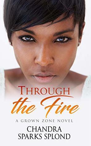 Through the Fire (Grown Zone Book 2) by Chandra Sparks Taylor, Chandra Sparks Splond