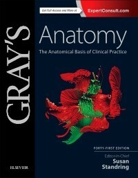 Gray's Anatomy: The Anatomical Basis of Clinical Practice by Susan Standring