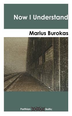 Now I Understand by Marius Burokas