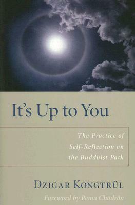 It's Up to You: The Practice of Self-Reflection on the Buddhist Path by Dzigar Kongtrul, Helen Berliner