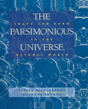 The Parsimonious Universe: Shape and Form in the Natural World by Stefan Hildebrandt, Anthony Tromba