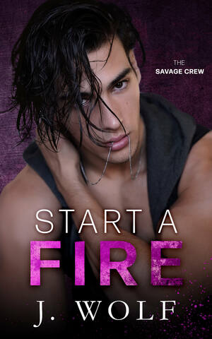 Start a Fire by Julia Wolf