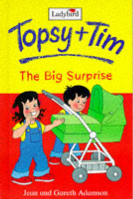 The Big Surprise (Topsy + Tim, #2) by Jean Adamson, Gareth Adamson