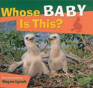 Whose Baby Is This? by Wayne Lynch