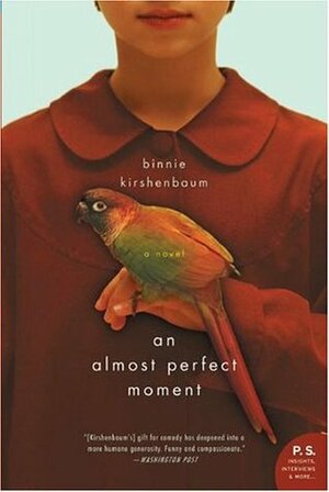 An Almost Perfect Moment by Binnie Kirshenbaum