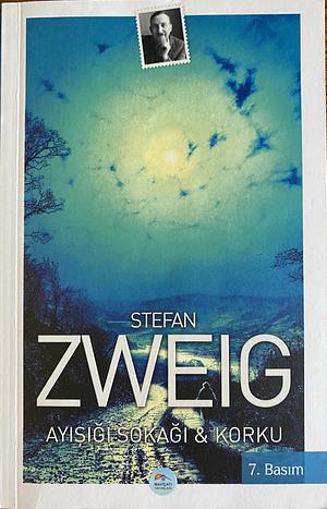 Ay Işığı Sokağı & Korku by Stefan Zweig