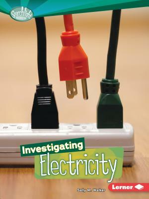 Investigating Electricity by Sally M. Walker