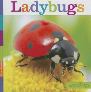 Ladybugs by Aaron Frisch