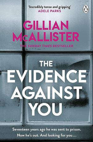 The Evidence Against You by Gillian McAllister