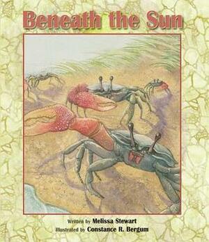Beneath the Sun by Constance R. Bergum, Melissa Stewart