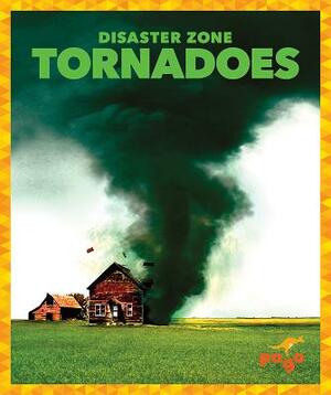 Tornadoes by Cari Meister