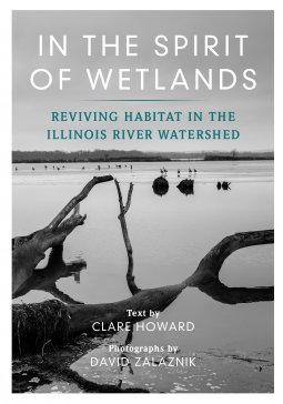 In the Spirit of Wetlands by Clare Howard