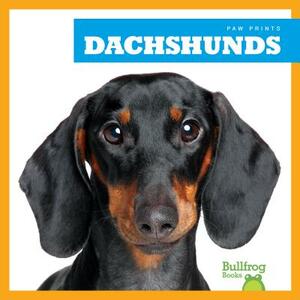 Dachshunds by Kaitlyn Duling