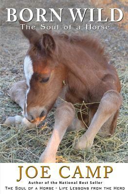 Born Wild - The Soul of a Horse by Joe Camp