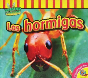 Las Hormigas / Ants by Aaron Carr