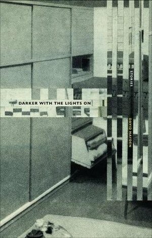 Darker with the Lights on: Stories by David Hayden