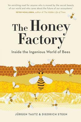 The Honey Factory: Inside the Ingenious World of Bees by Jürgen Tautz, Diedrich Steen