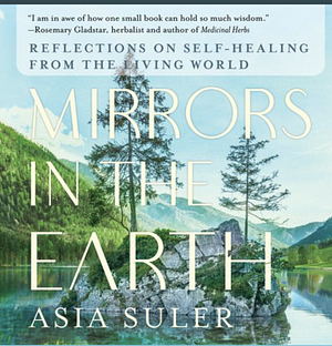 Mirrors in the Earth by Asia Suler