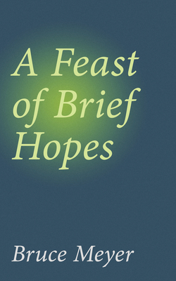 A Feast of Brief Hopes, A, Volume 144 by Bruce Meyer