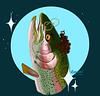 r_omulus's profile picture