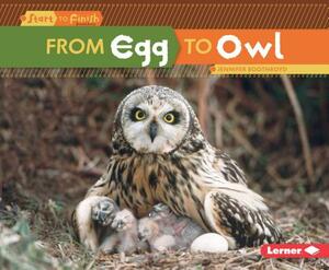From Egg to Owl by Jennifer Boothroyd
