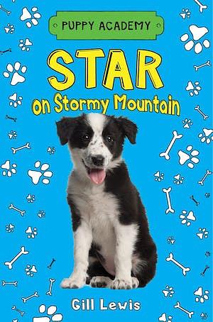 Star on Stormy Mountain by Gill Lewis