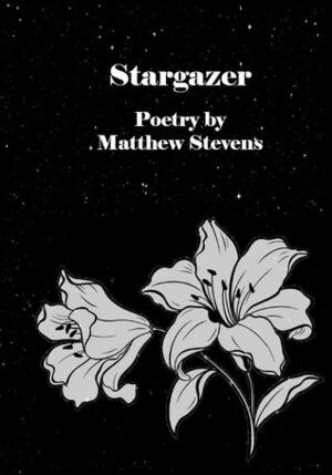 Stargazer by Matthew Stevens