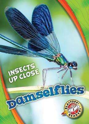 Damselflies by Christina Leaf