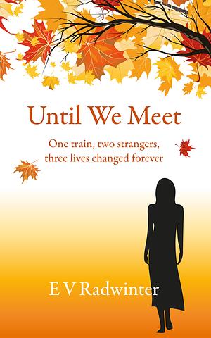 Until We Meet by E V Radwinter