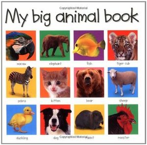 My Big Animal Book by Priddy Bicknell, Roger Priddy
