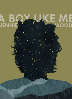 A Boy Like Me by Jennie Wood