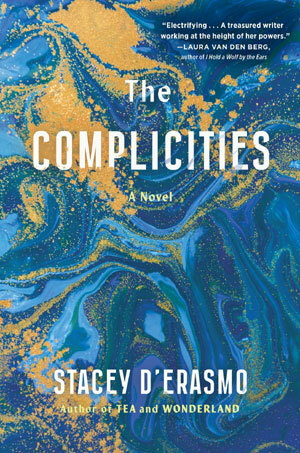 The Complicities by Stacey D'Erasmo