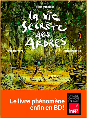 La Vie secrète des arbres en BD by Benjamin Flao, Peter Wohlleben, Peter Wohlleben, Fred Bernard