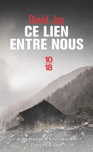 Ce lien entre nous by David Joy