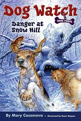 Danger at Snow Hill by Mary Casanova
