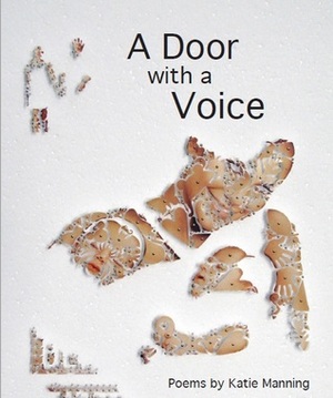 A Door with a Voice by Katie Manning