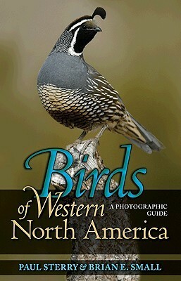 Birds of Western North America: A Photographic Guide by Brian E. Small, Paul Sterry