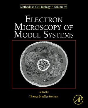 Electron Microscopy of Model Systems by 