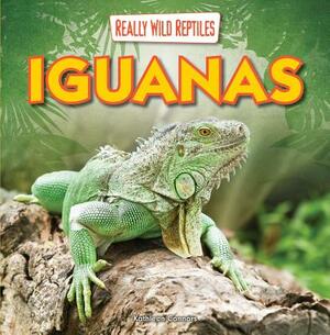 Iguanas by Kathleen Connors