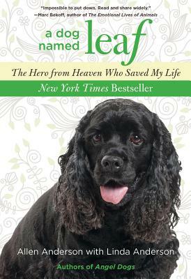 Dog Named Leaf: The Hero from Heaven Who Saved My Life by Linda Anderson, Allen Anderson