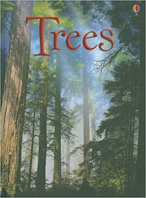 Trees by Lisa Jane Gillespie