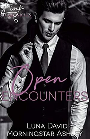 Open Encounters by Luna David, Morningstar Ashley