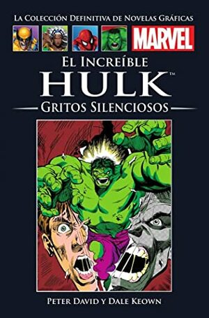 El increíble Hulk: Gritos silenciosos by Glynis Wein, Peter David, Bob McLeod, Dale Keown