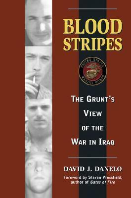 Blood Stripes: The Grunt's View of the War in Iraq by David J. Danelo, Steven Pressfield