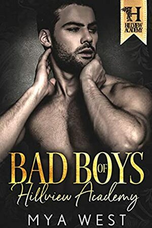 Bad Boys of Hillview Academy: The Complete Boxset by Mya West